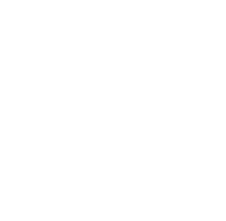 Dmsa logo gray 4